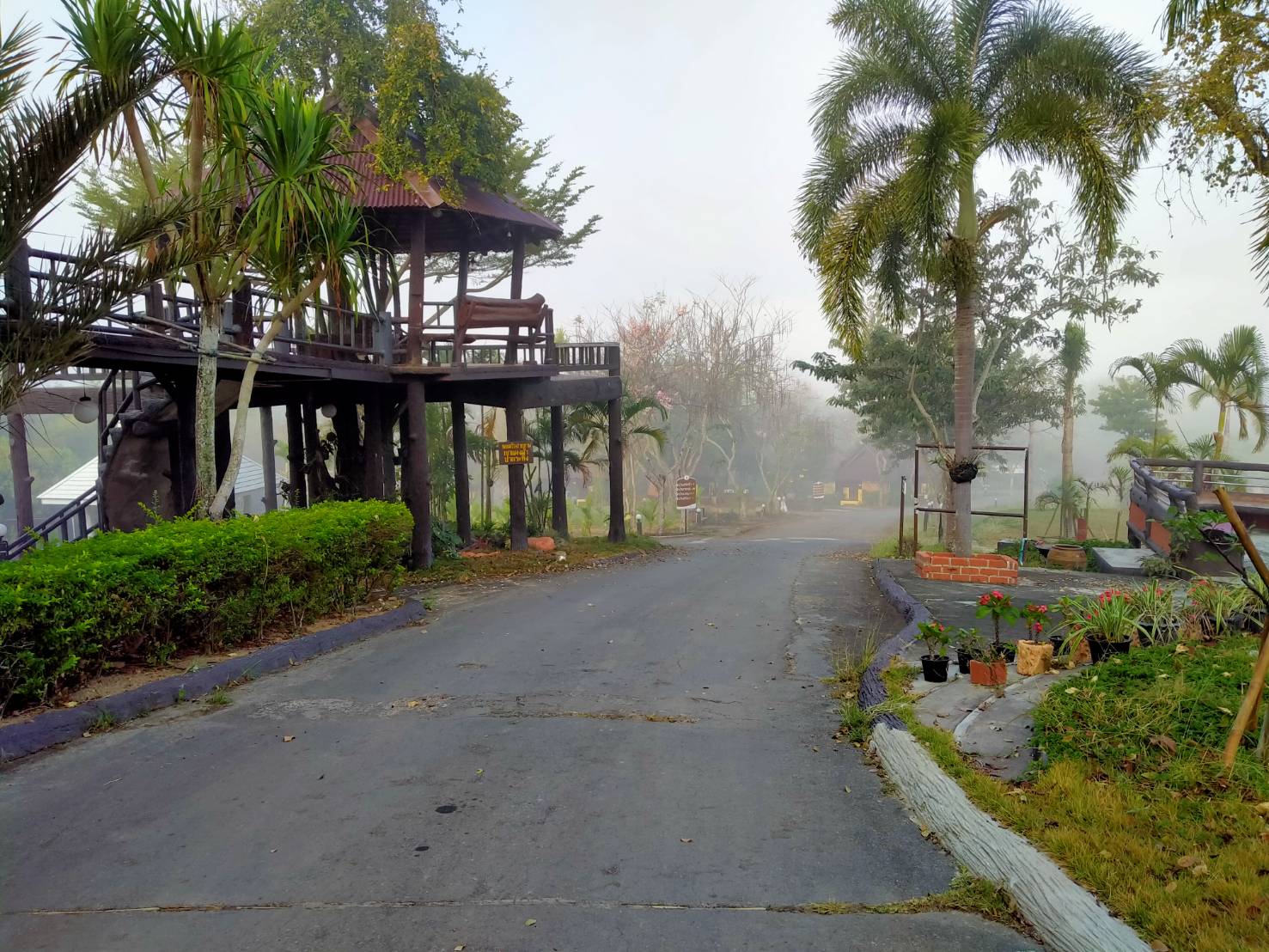 วิวทิวทัศน์ยามเช้า