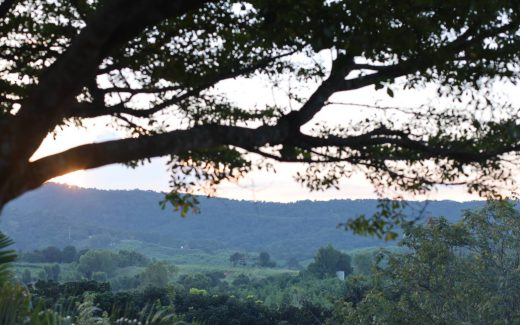 ความเป็นบุหงาส่าหรี รีสอร์ต…